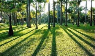 西双版纳好玩吗